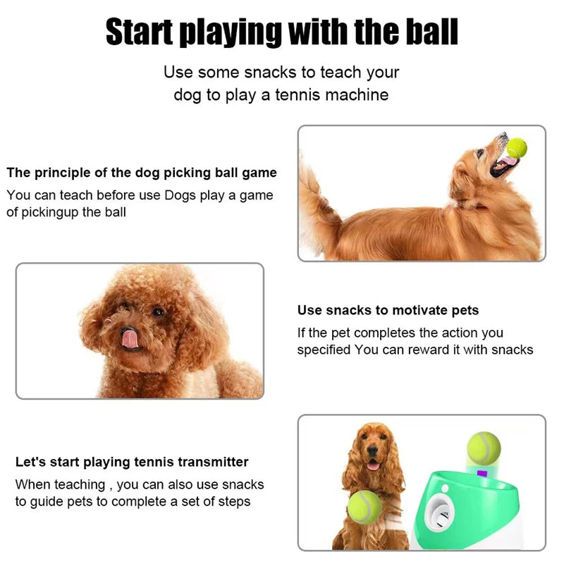 FetchFusion Pro - Pet Ball Thrower