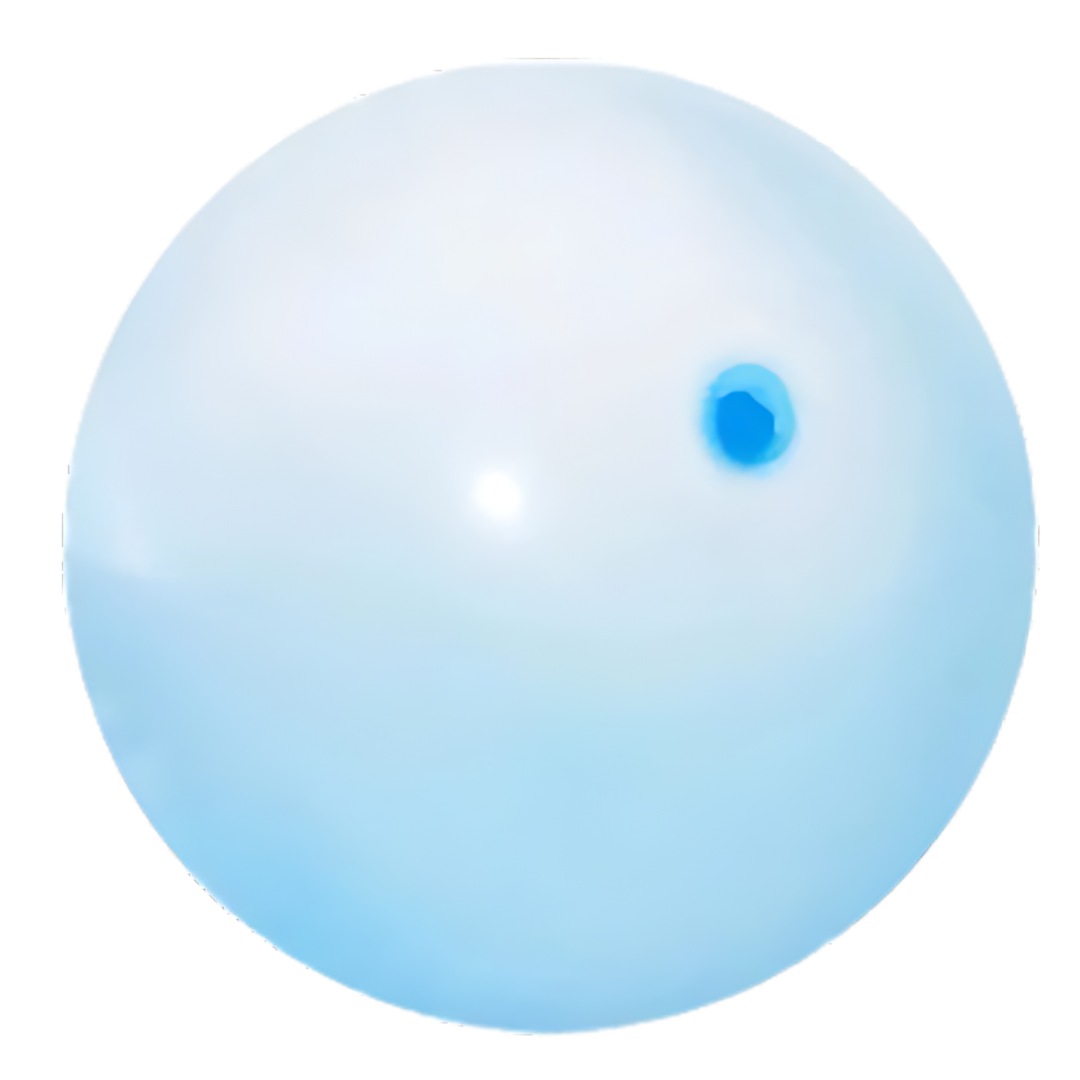 The BubbleWorld - Inflatable Water Ball